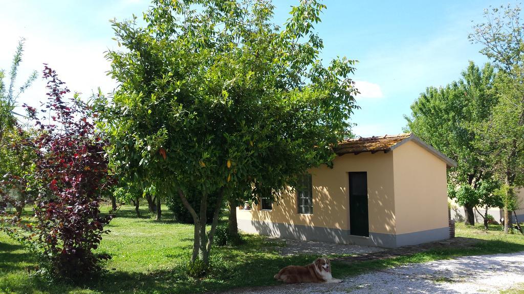 Agriturismo Podere La Cascata Villa Massa Marittima Eksteriør billede