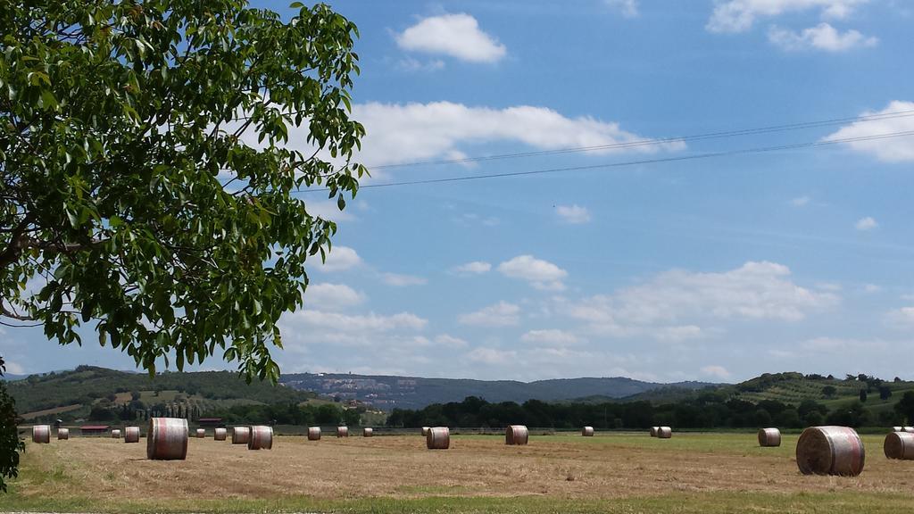 Agriturismo Podere La Cascata Villa Massa Marittima Eksteriør billede