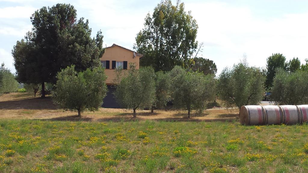 Agriturismo Podere La Cascata Villa Massa Marittima Eksteriør billede